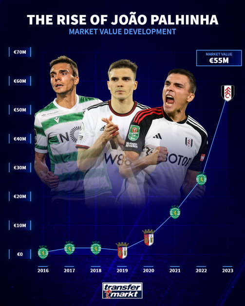 The rise of Joao Palhinha